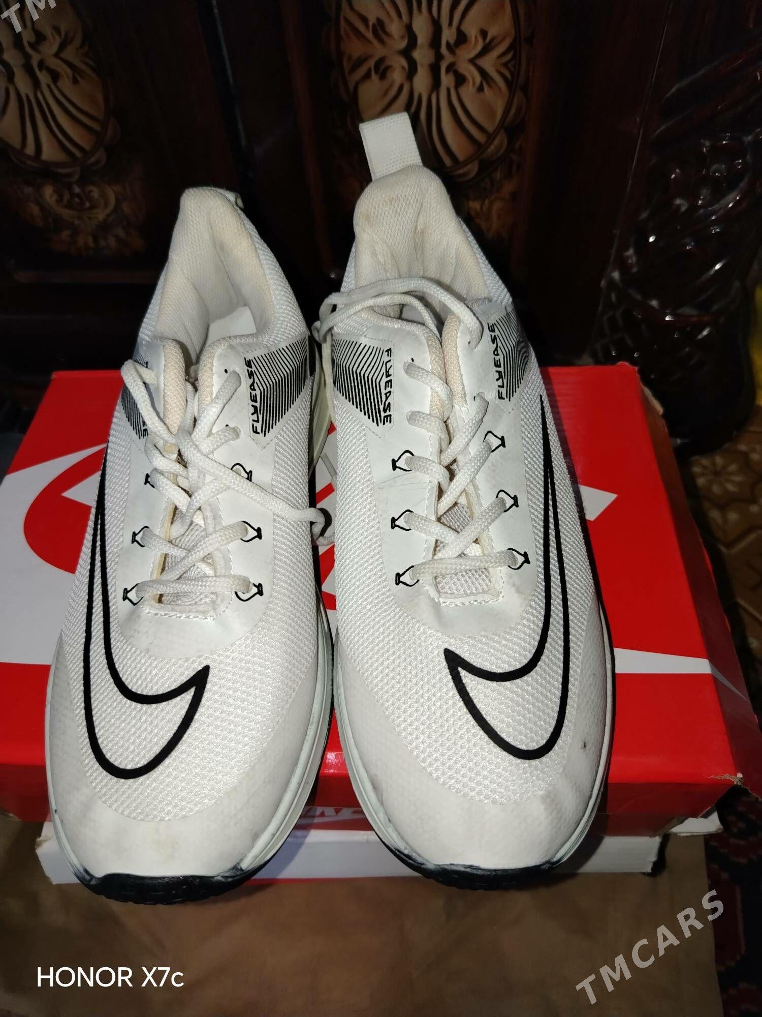 Krasovka - Daşoguz - img 1