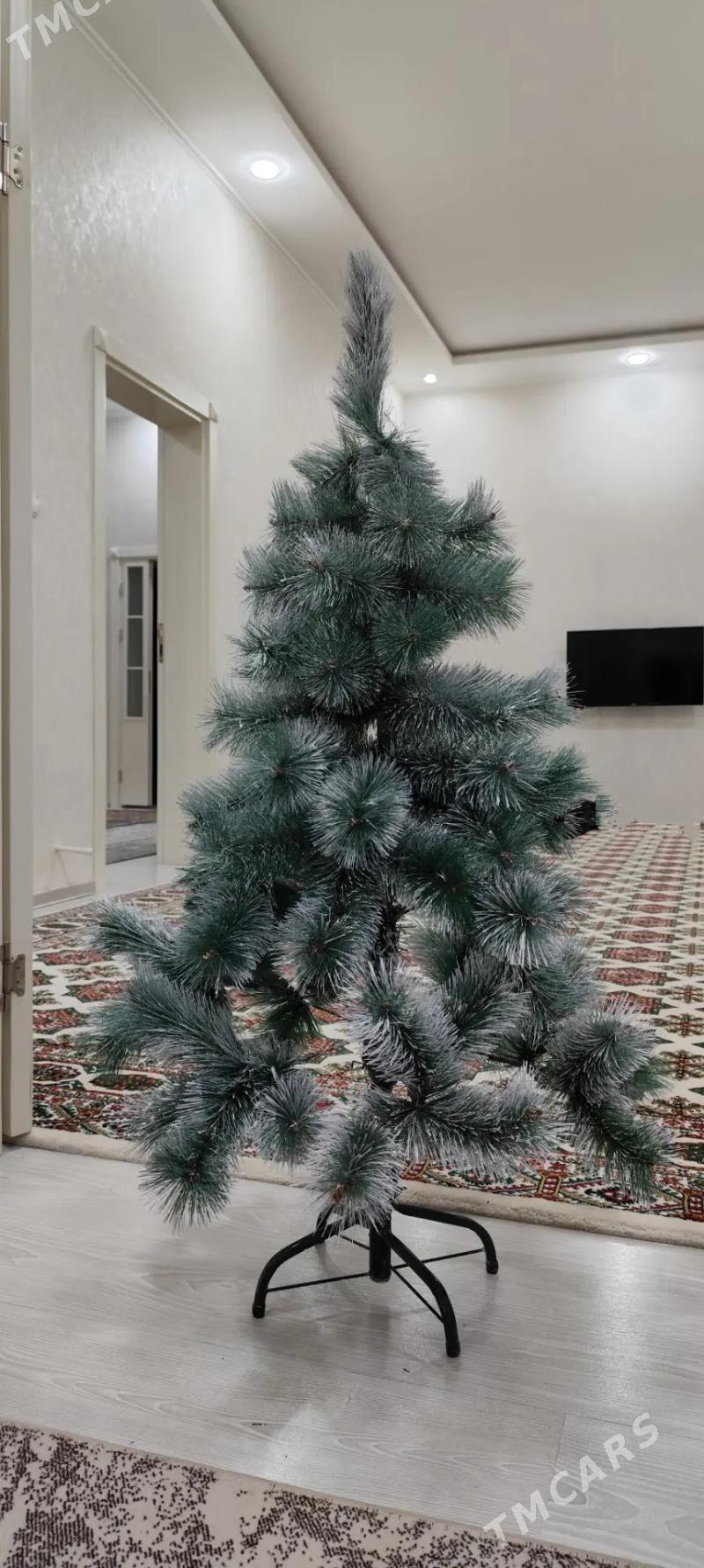 yolka - Gumdag - img 1