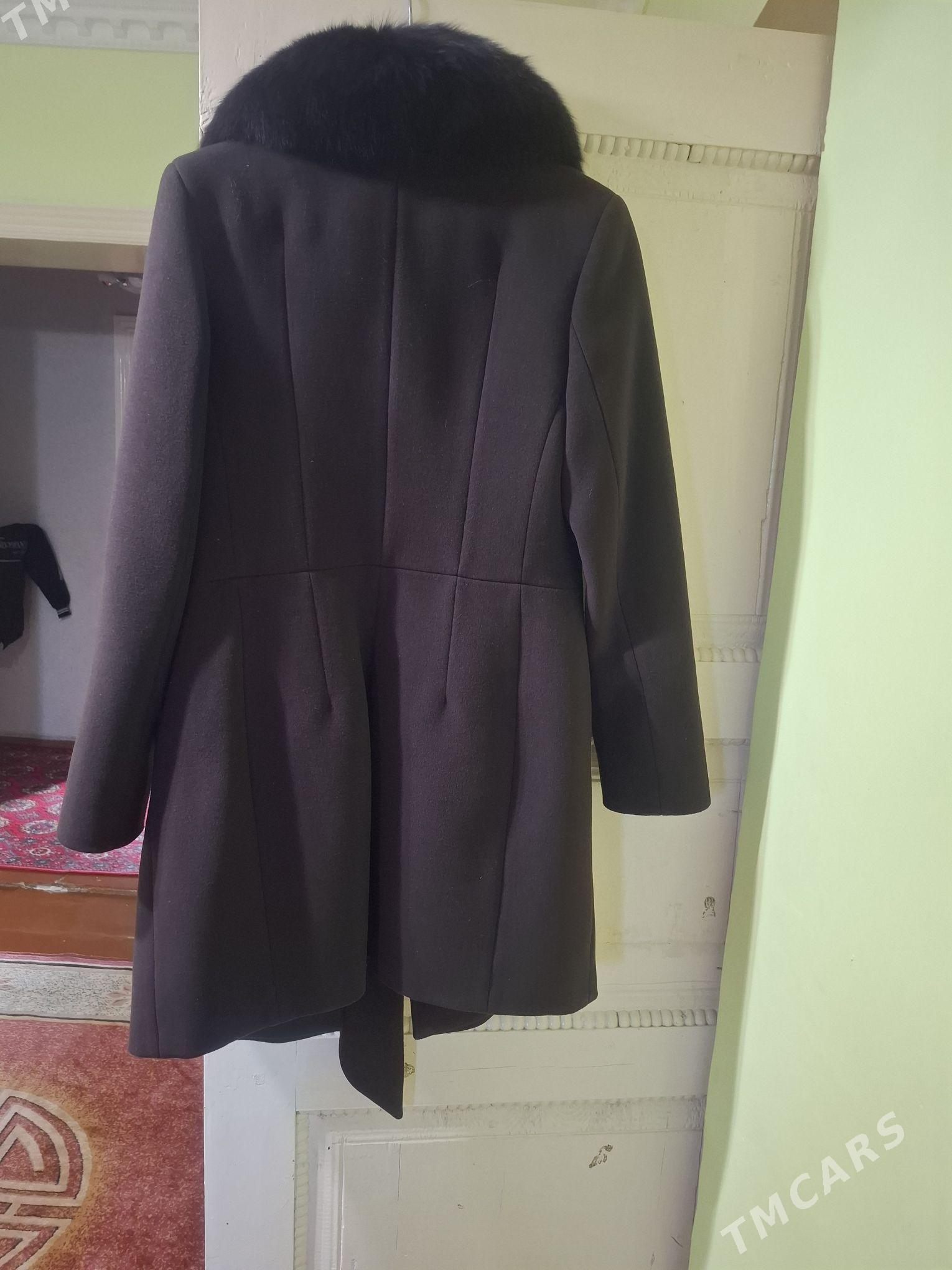 palto - Daşoguz - img 1