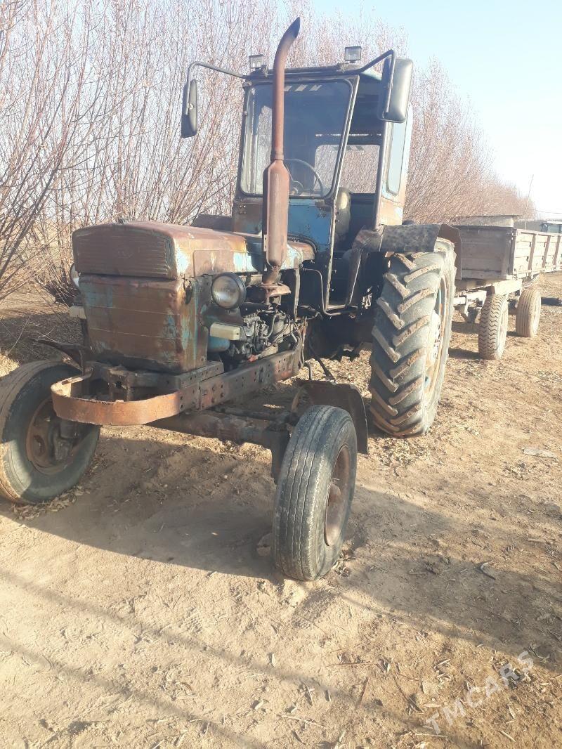 MTZ T-28 1981 - 31 000 TMT - Görogly (Tagta) - img 1