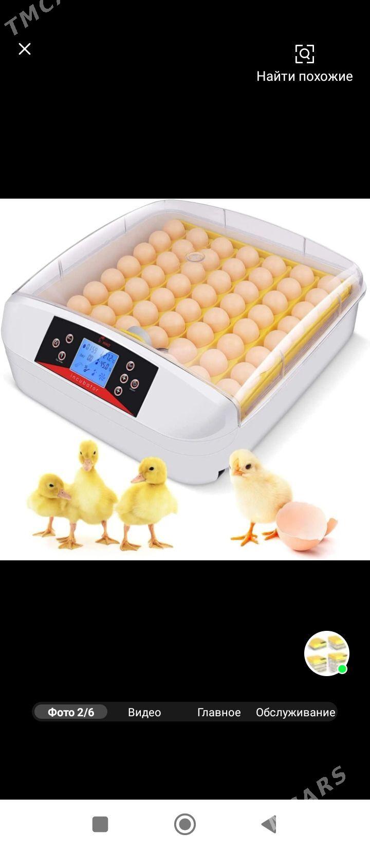 inkubator инкубатор - Türkmenabat - img 1