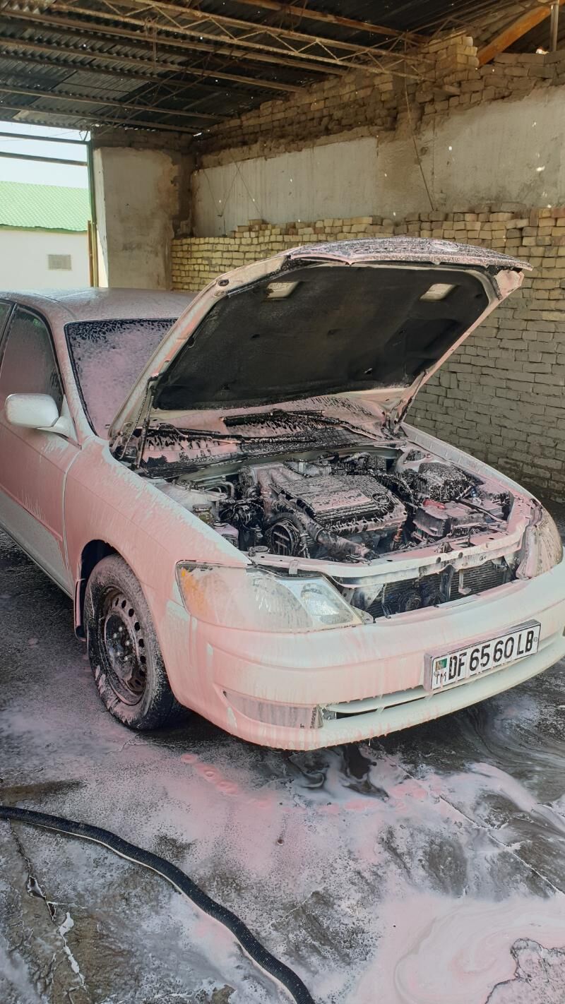 AVTA MOYKA VE HALY MOYKA SATLY - Türkmenabat - img 1