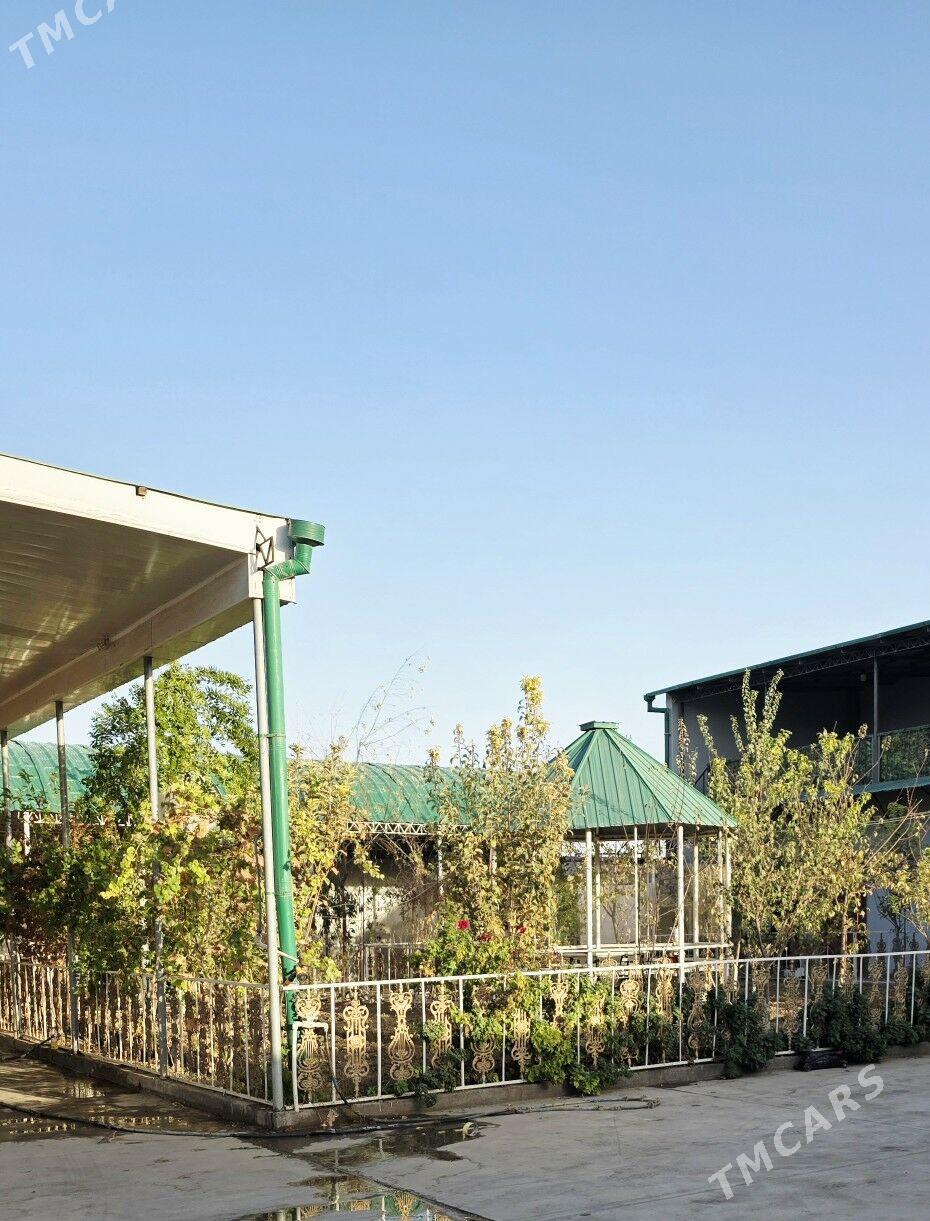 Anew plan jay - Анев - img 1