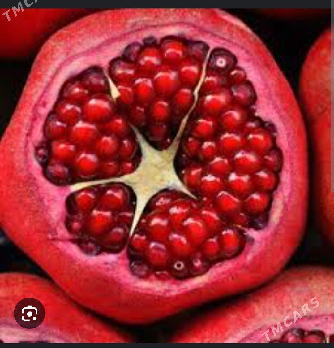 NAR CIGITSIZ HICAZ TURK NAHAL - Анев - img 1