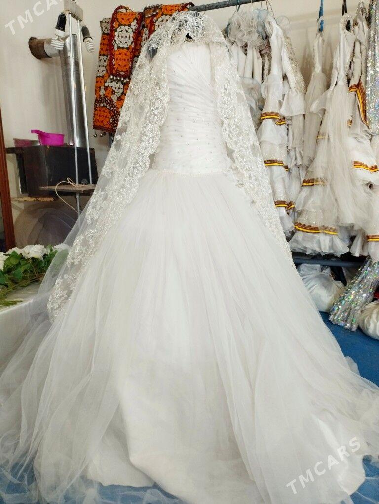 SATLYK FATALAR - Sakarçäge - img 1