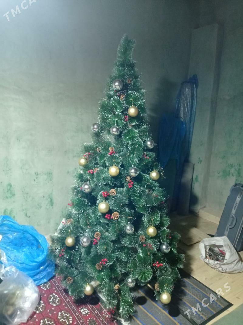 arca - Гороглы (Тагта) - img 1