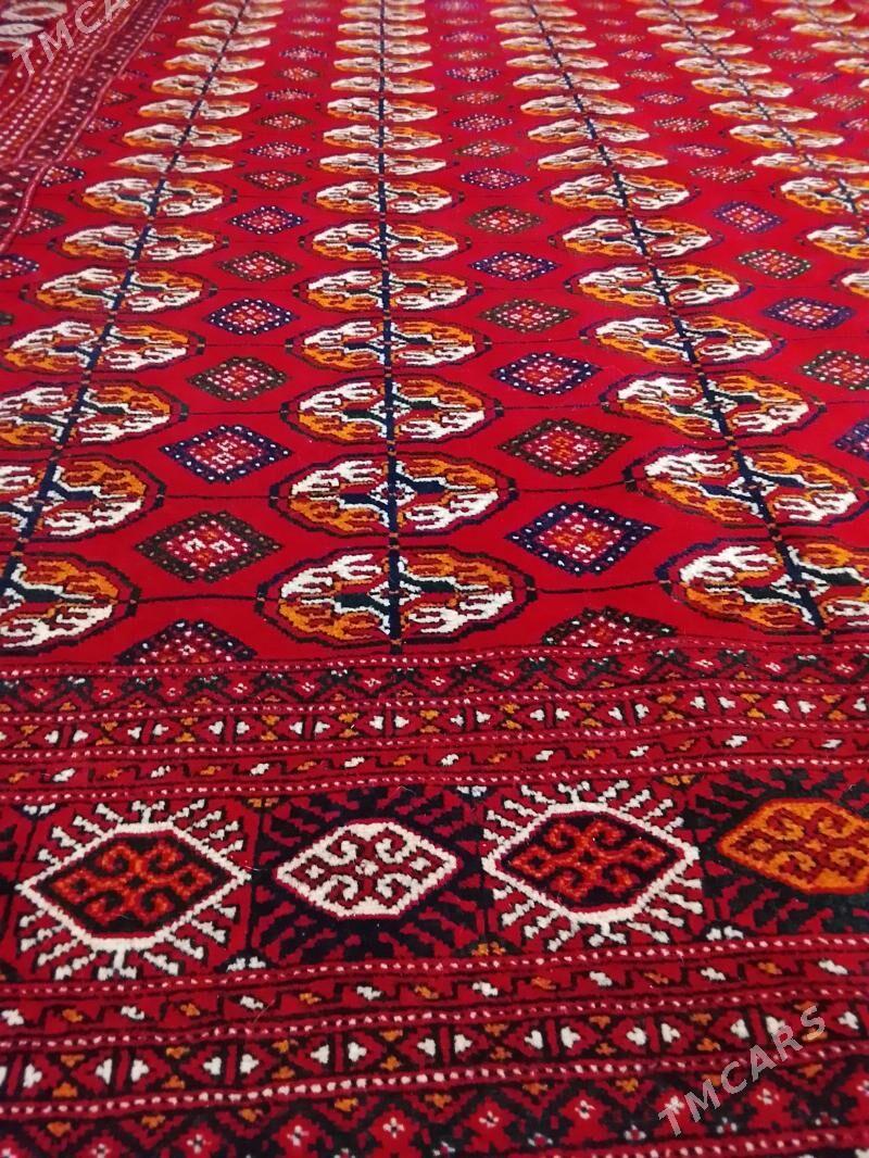 el haly 2.20/3.30 - Мары - img 1