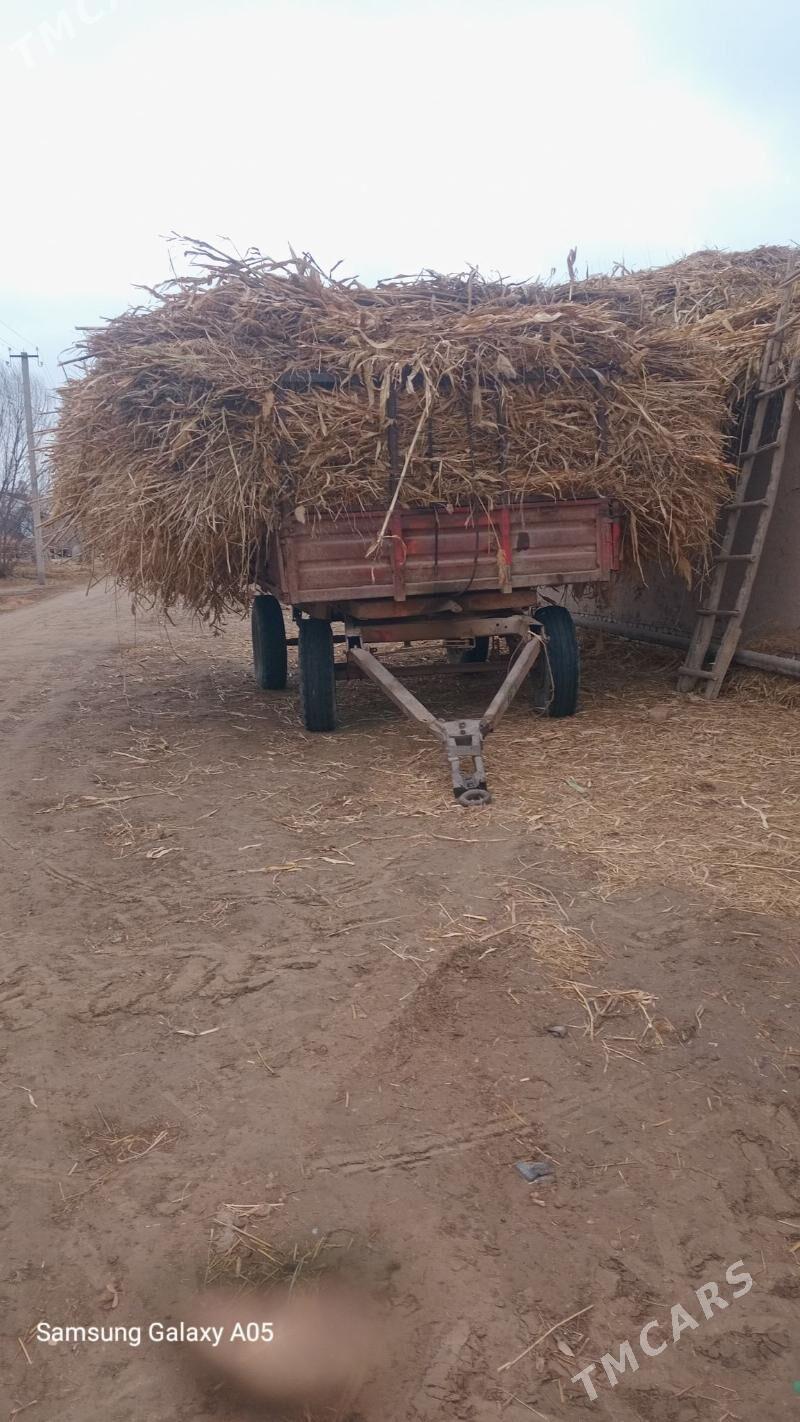 Mal oty. - Boldumsaz - img 1