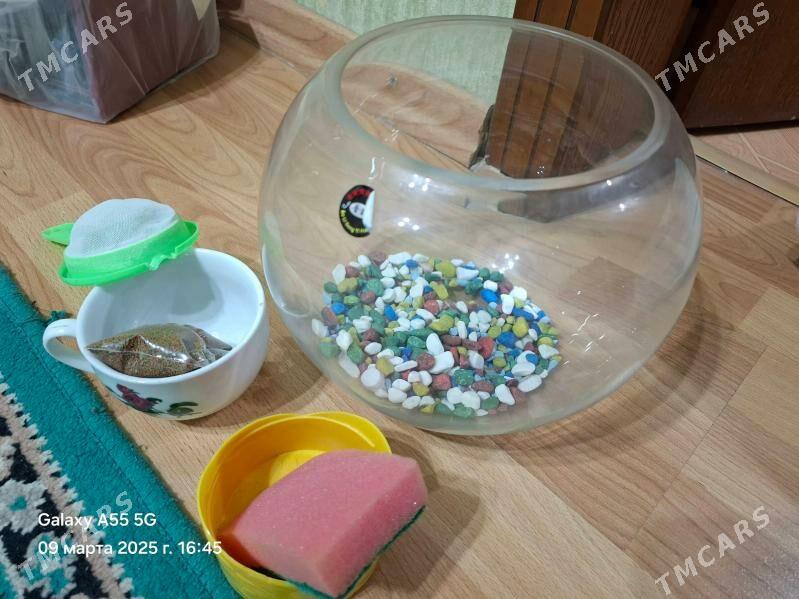 Аквариум - Parahat 4 - img 1