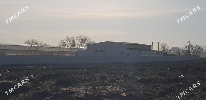 onumcilik ucin bina - Анев - img 1