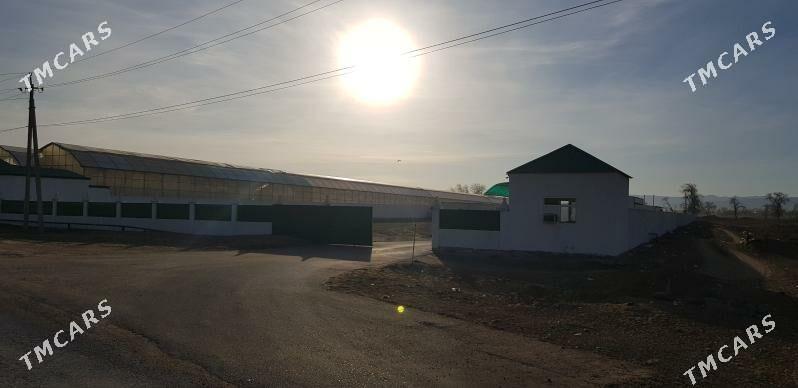 onumcilik ucin gurylan desga - Анев - img 1