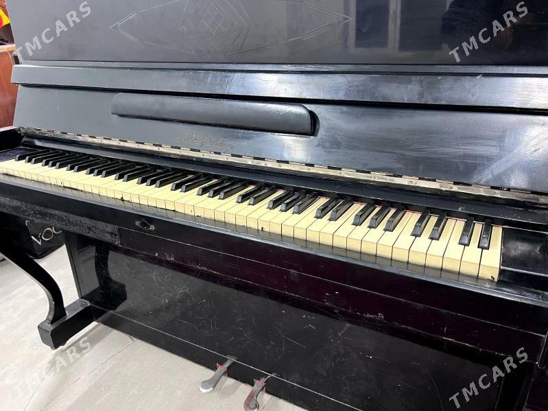 pionino - Çoganly - img 1