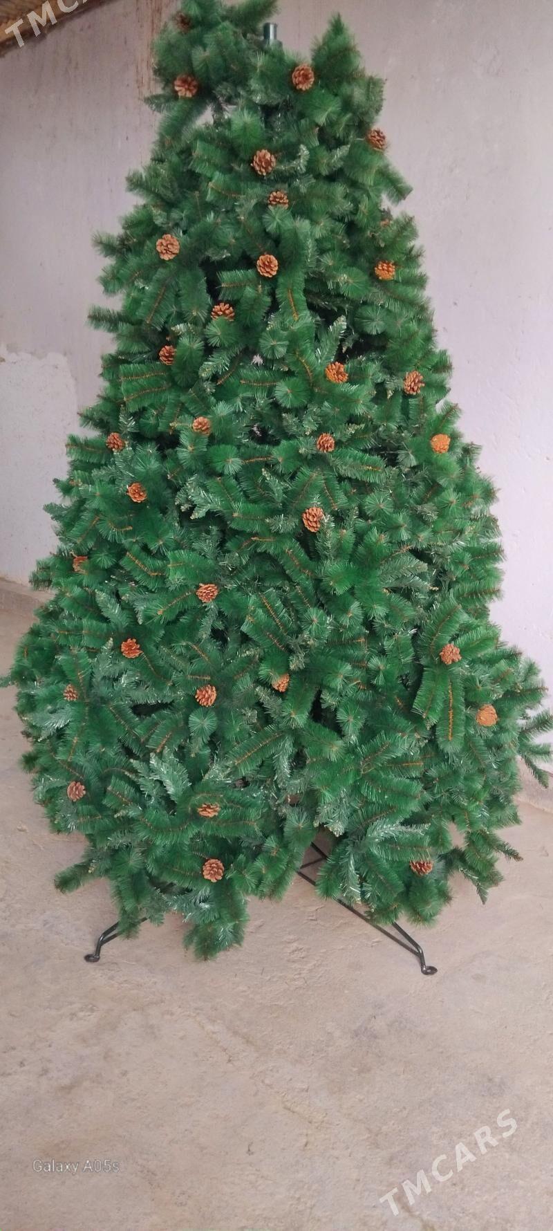 yolka - Чоганлы - img 1