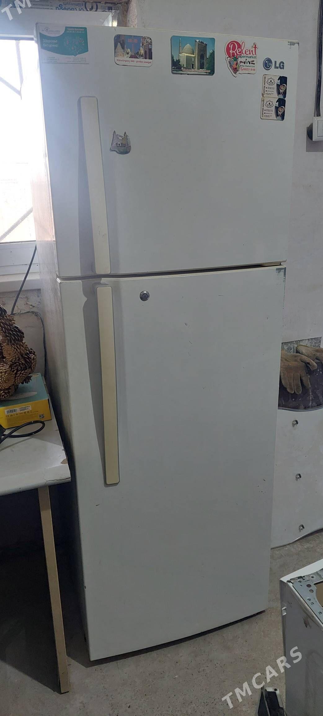 halodilnik - Mary - img 1