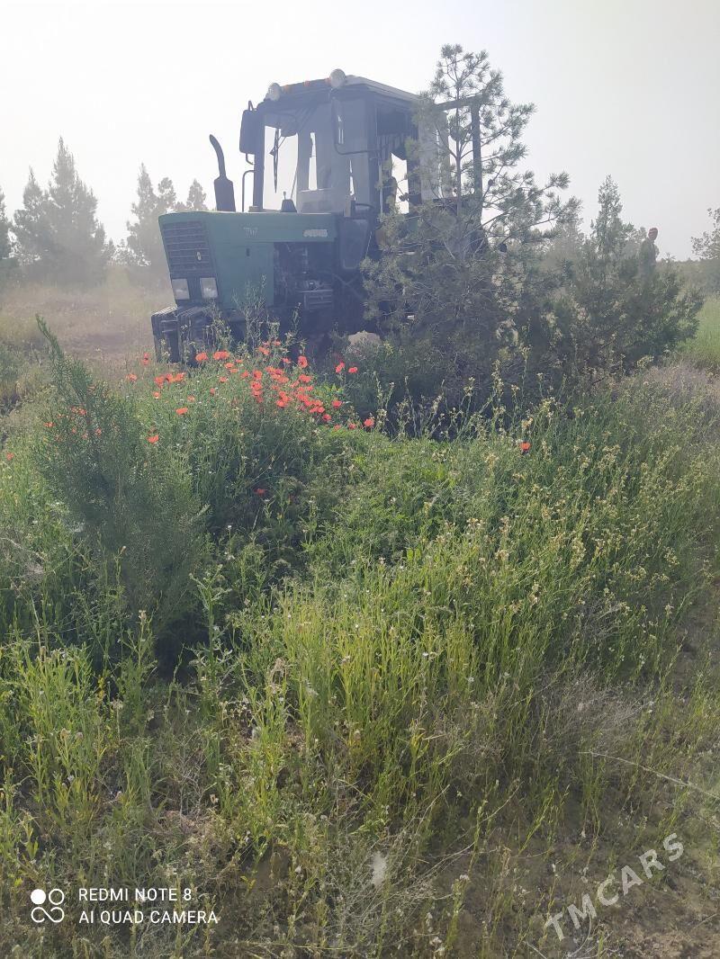 Mtz - Ak bugdaý etraby - img 1