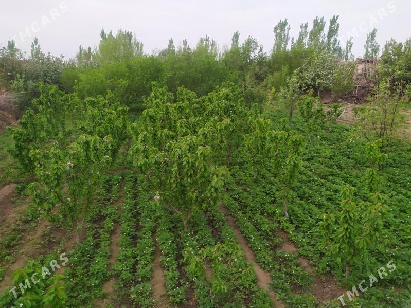 Участка ер - Şabat etr. - img 1