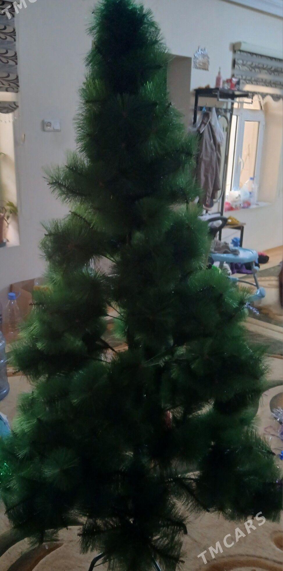 yolka - Änew - img 1