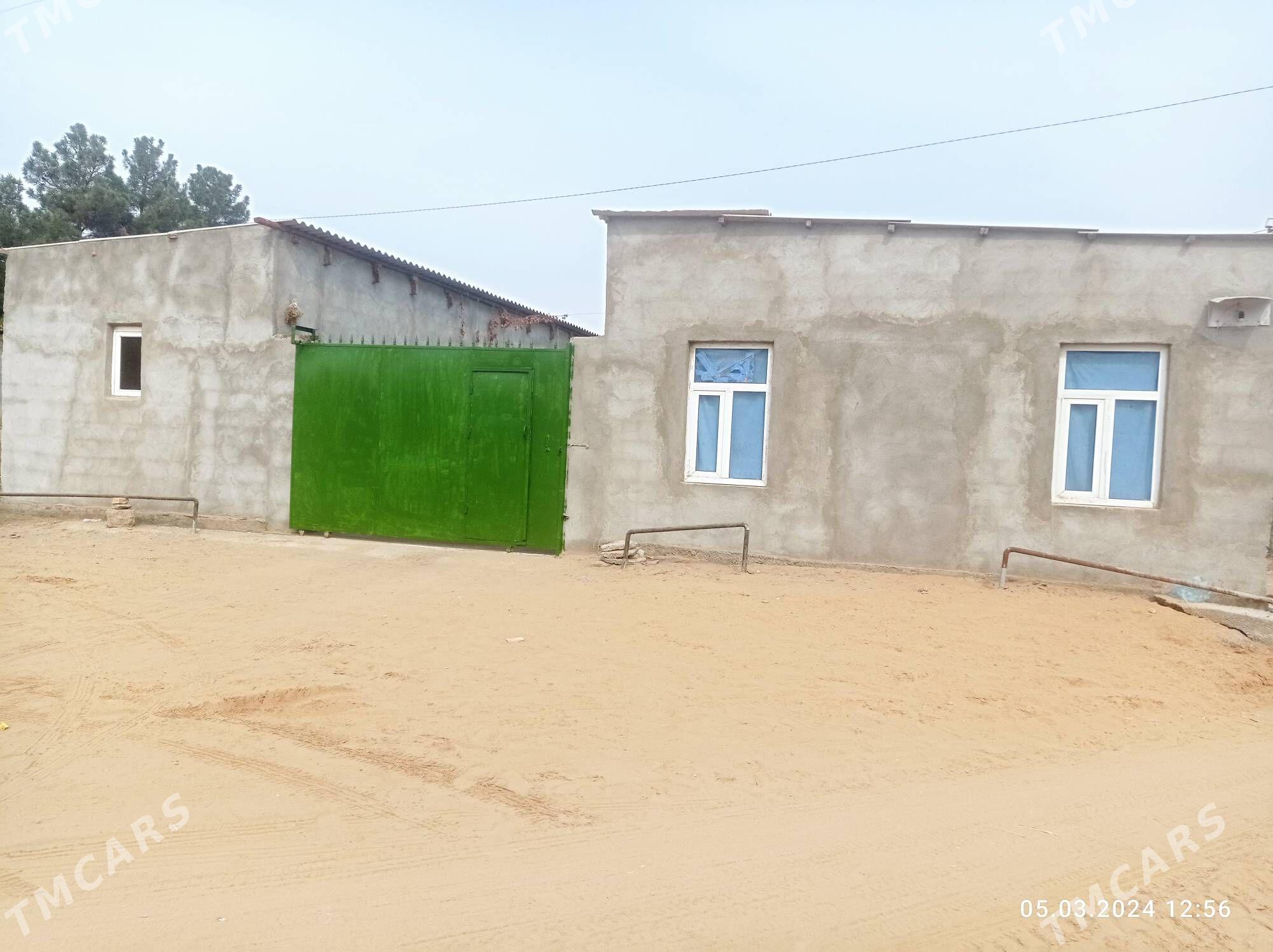 ànew - Änew - img 1