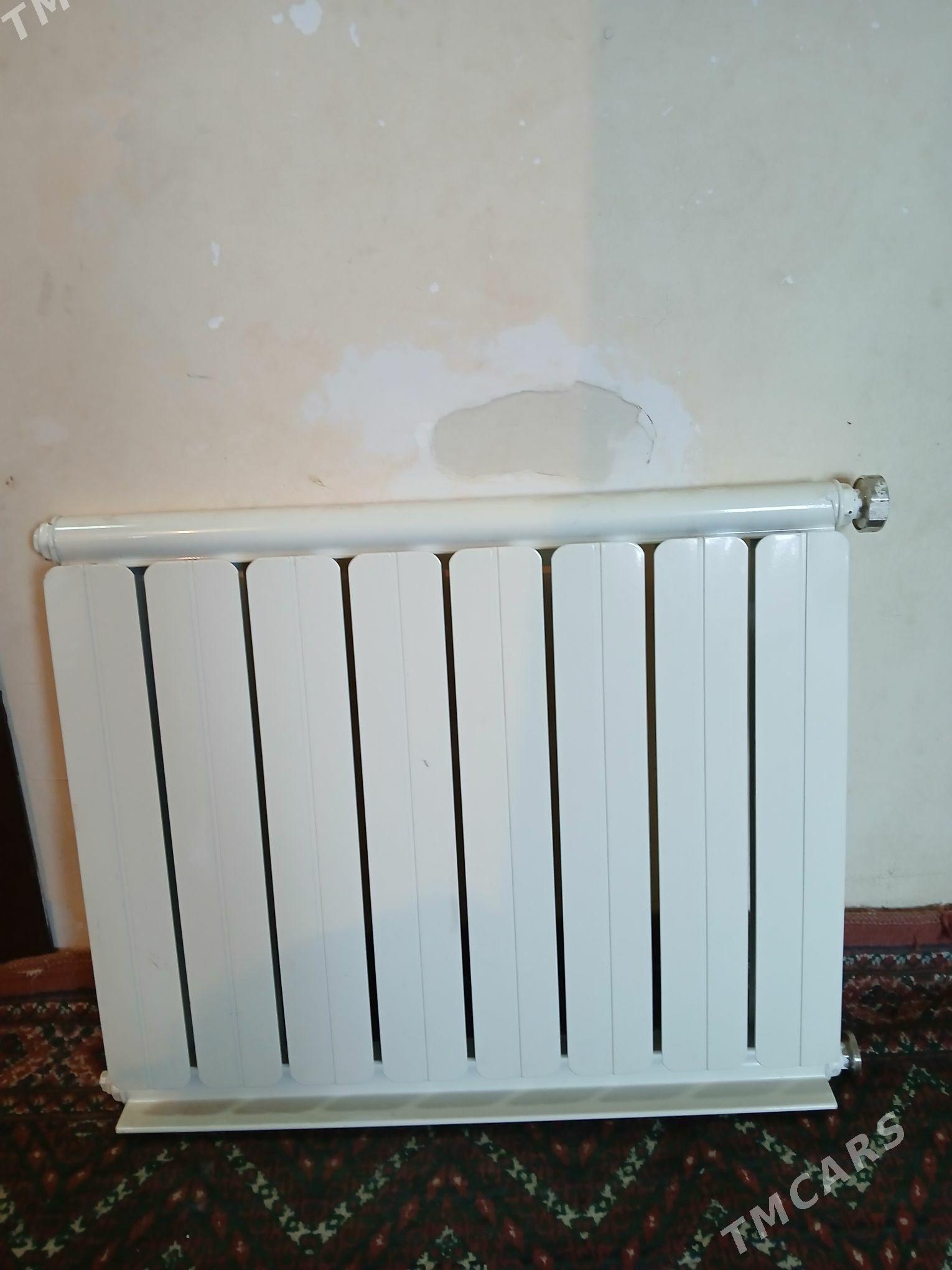 YLADYJY BATAREY - Бузмеин - img 1