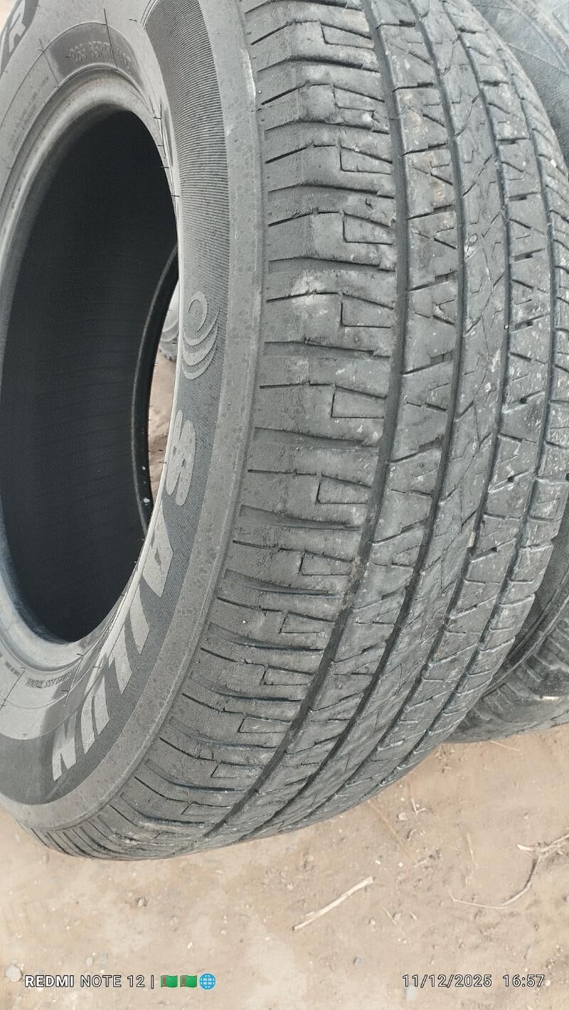 Tekerler 500 TMT - Анев - img 1