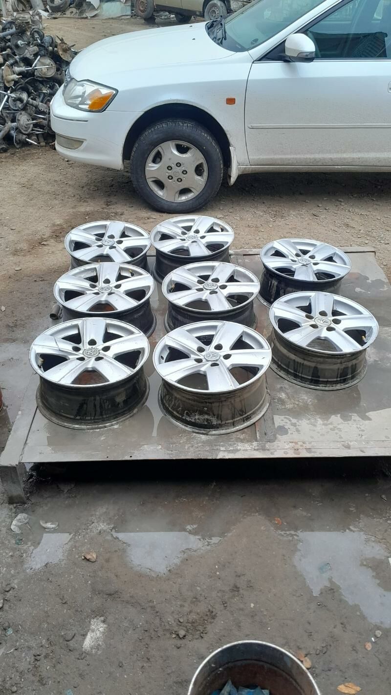 okuz kelle disga R16 800 TMT - Mary - img 1