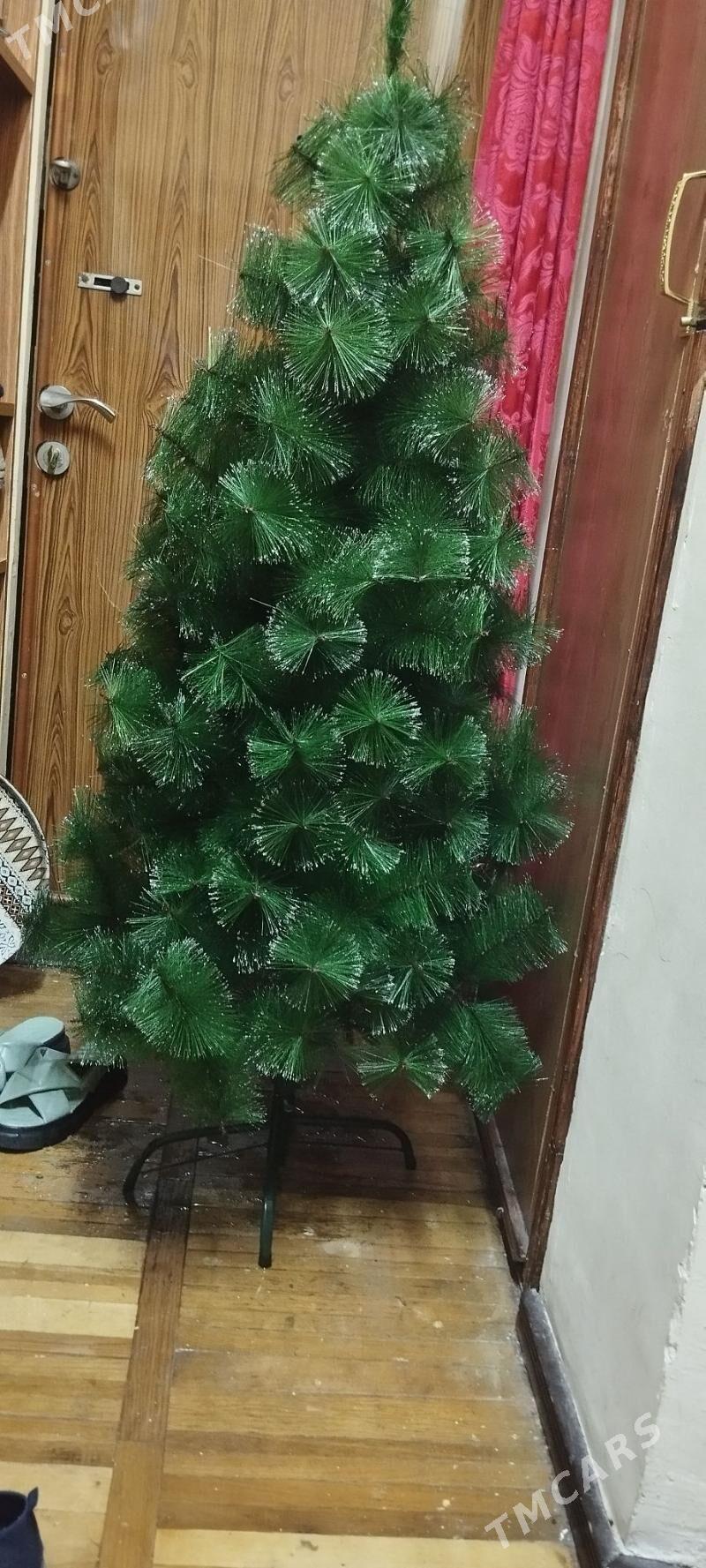 ýolka - Aşgabat - img 1