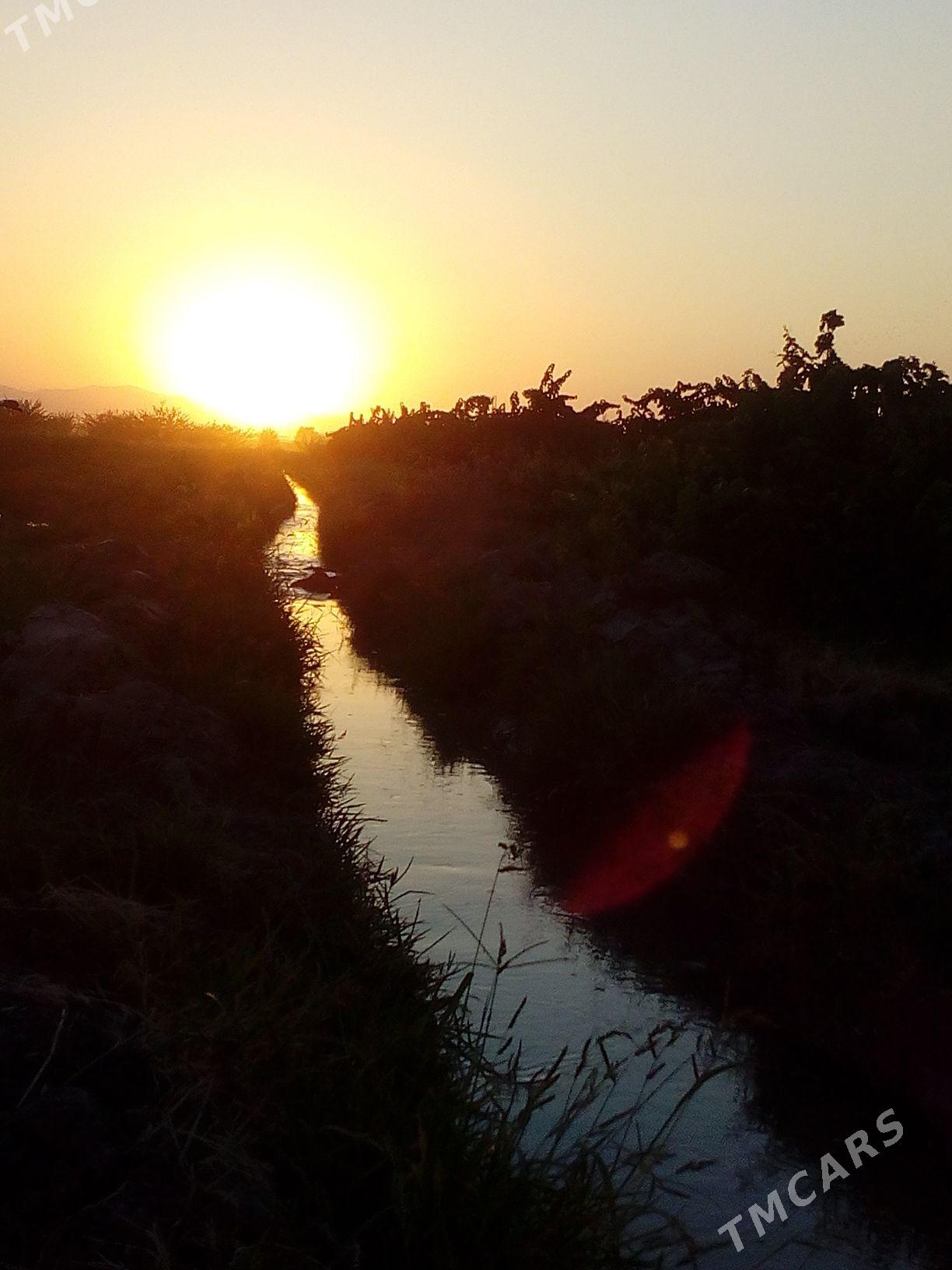 uzum getdar - Гёкдепе - img 1