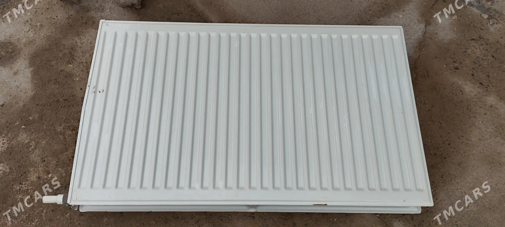 Atapleniya - Mary - img 1