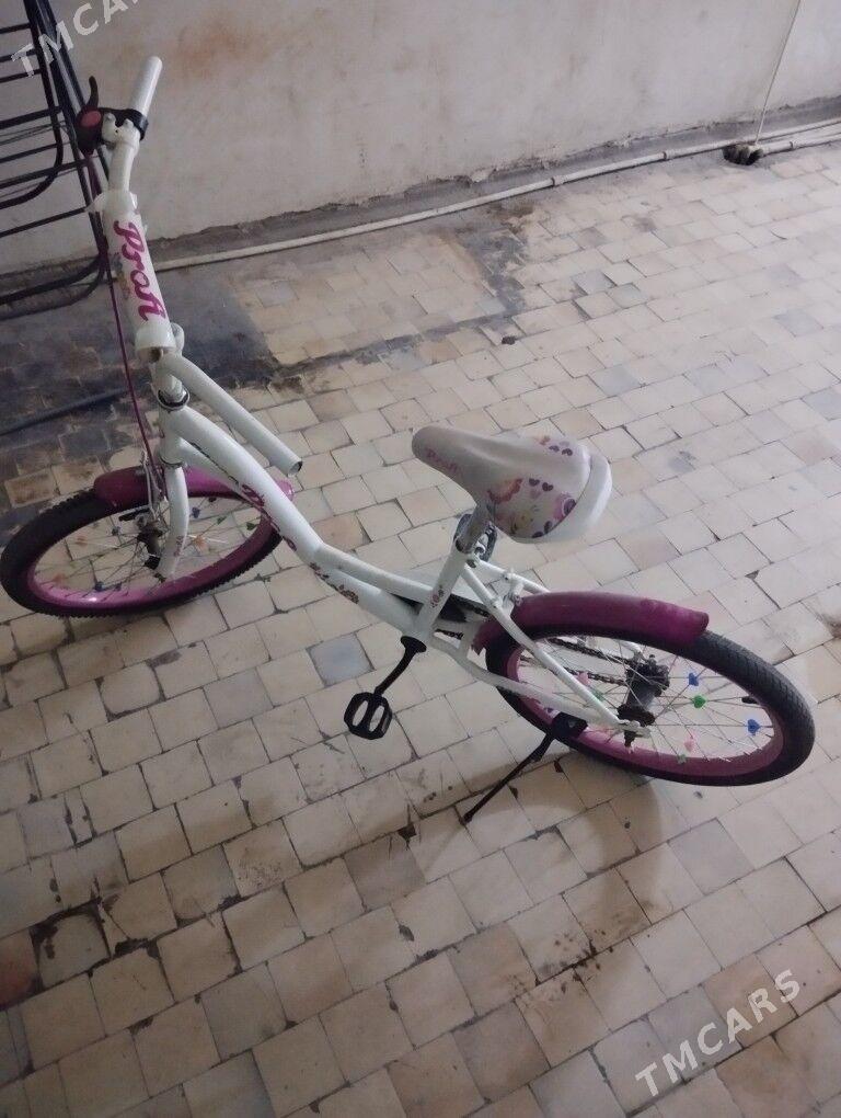 tigir - Bedew - img 1