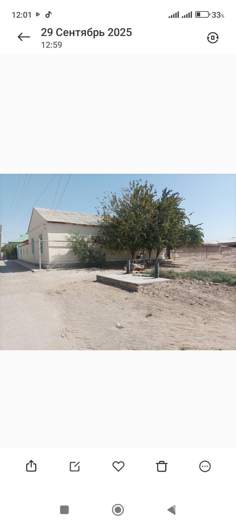 howly jay yasayys - Мургап - img 1