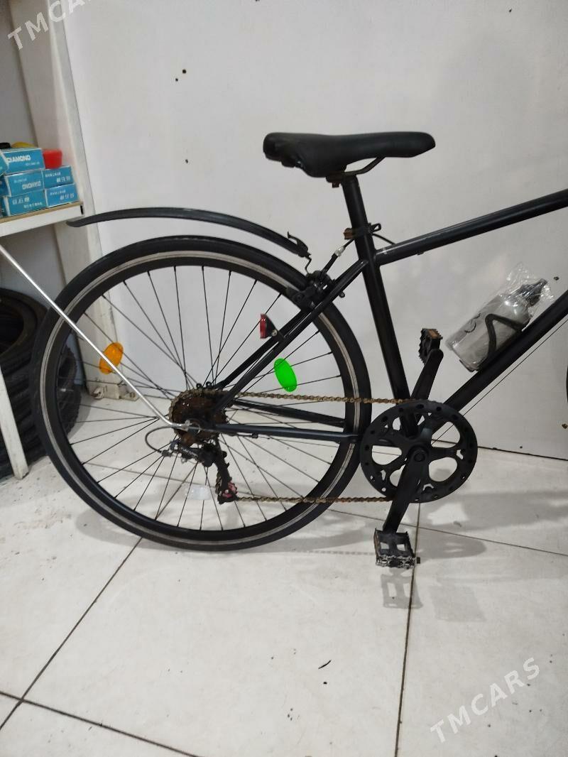 welik - Mary - img 1