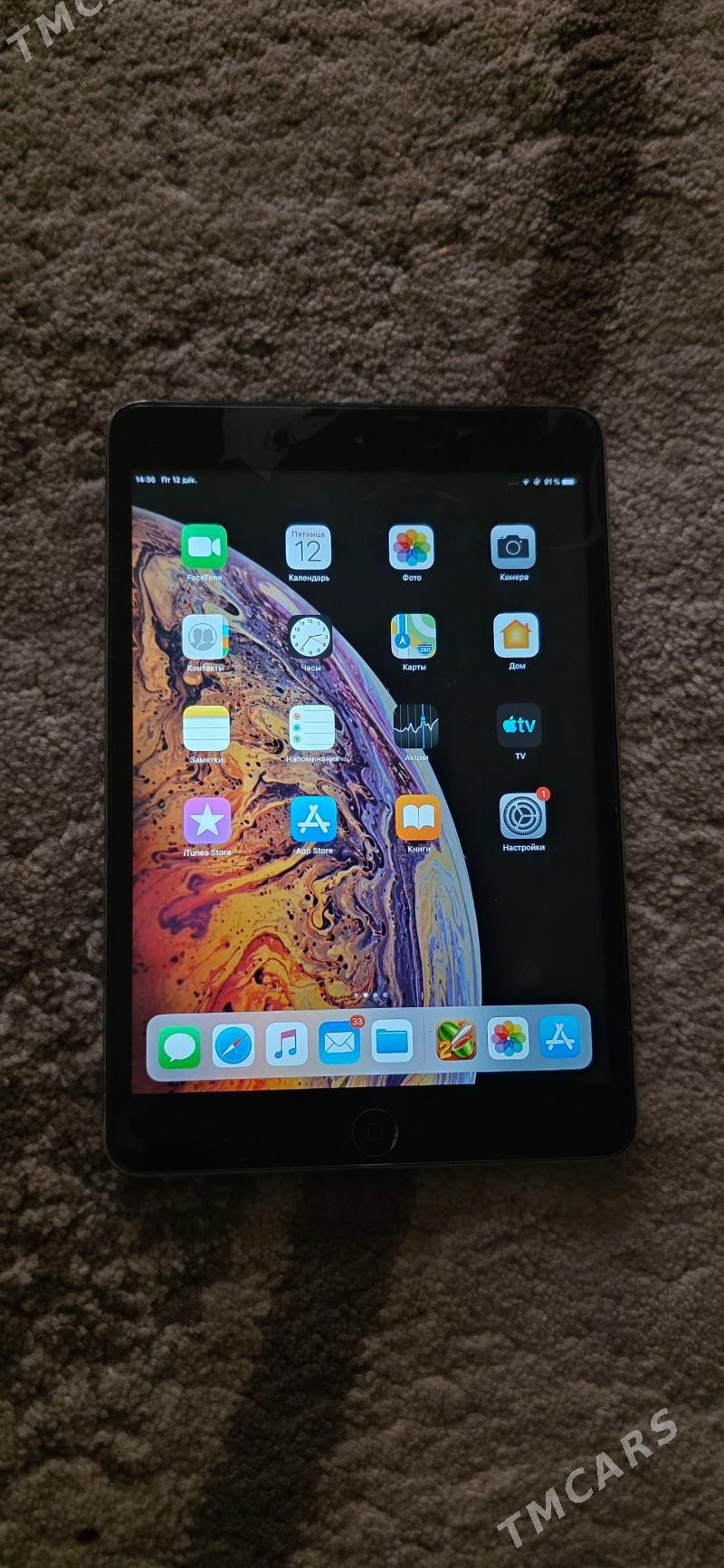 i pad mini 2 - Mary - img 1