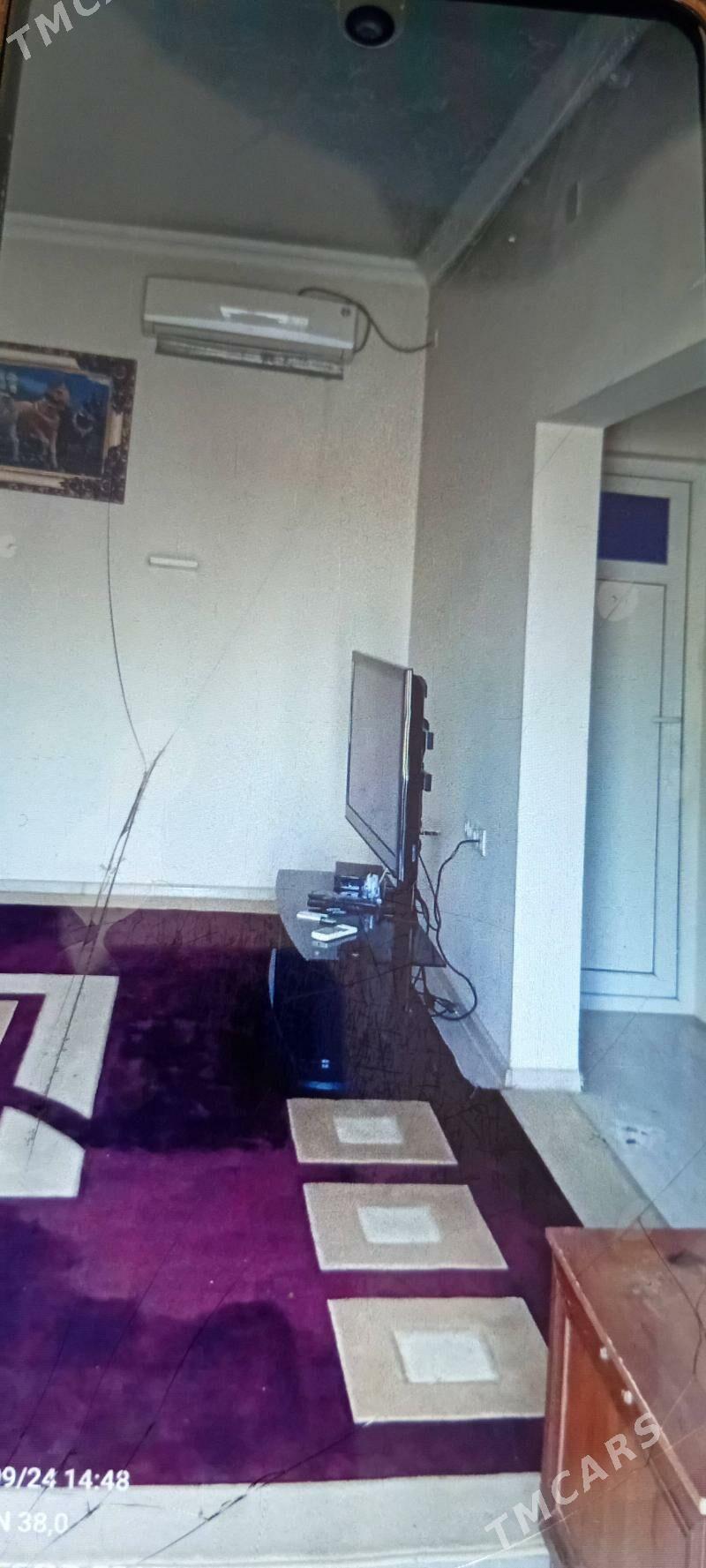 änew daça - Änew - img 1