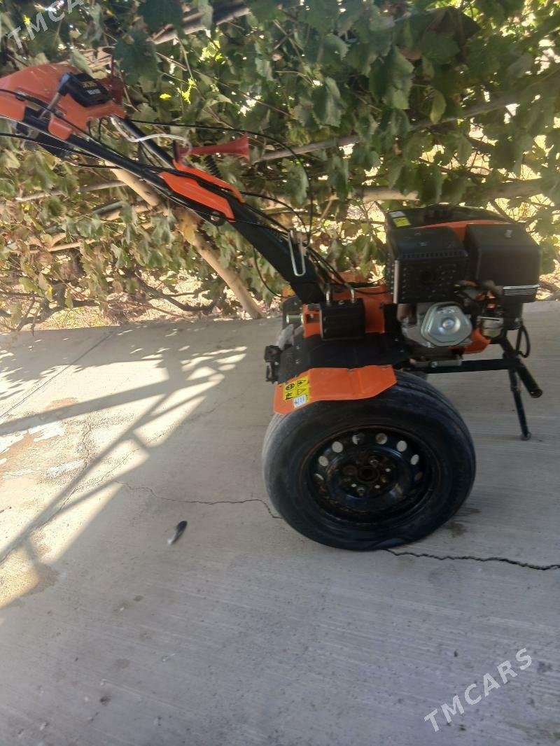 MTZ 80 2025 - 11 900 TMT - Akdepe - img 1