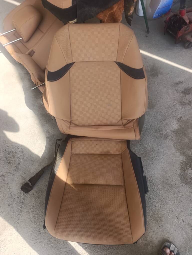 lexsus 13 000 TMT - Бедев - img 1