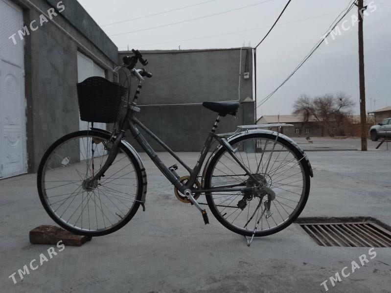 wellik - Gurbansoltan Eje - img 1