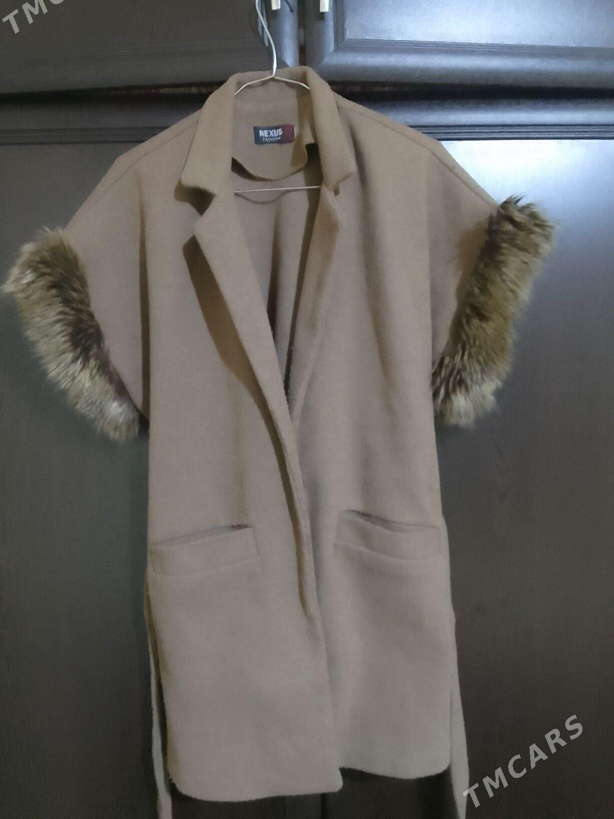 ýeňsizler - Gumdag - img 1