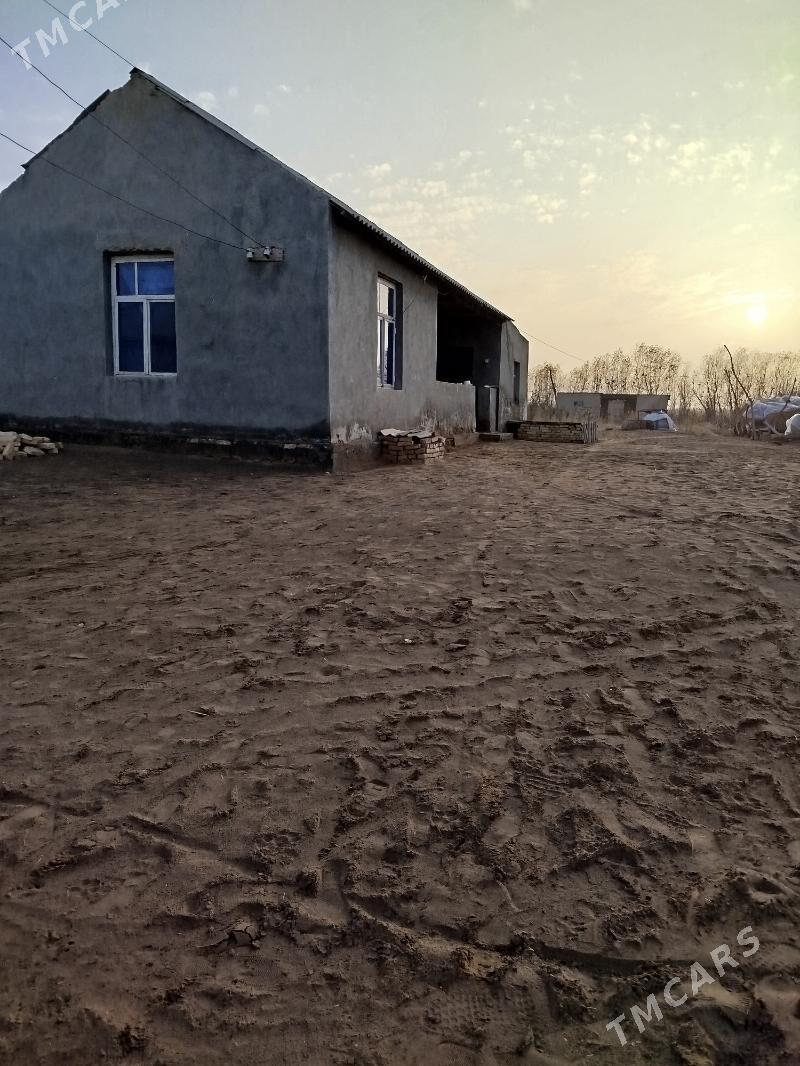 murgap gowsut bent kirf - Мургап - img 1