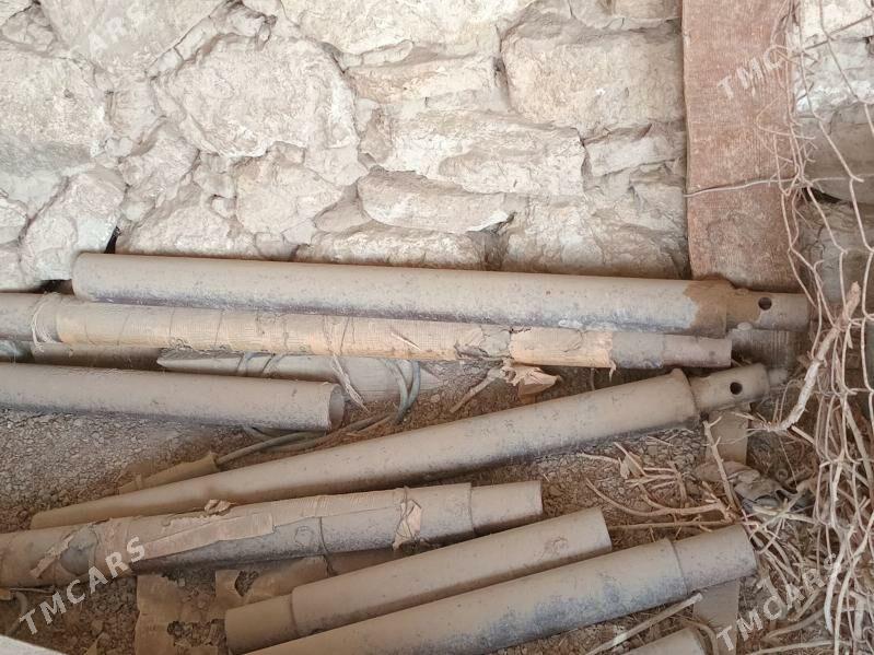 gurama - Gyzylarbat - img 1