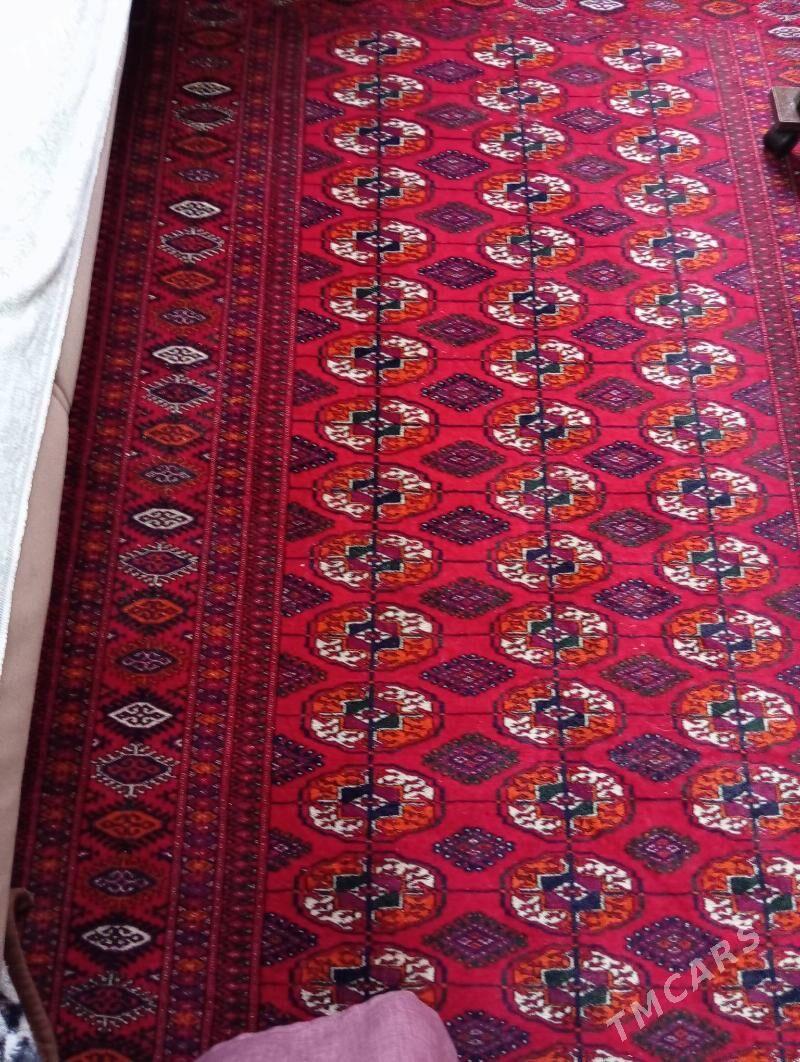 el haly - Ашхабад - img 1