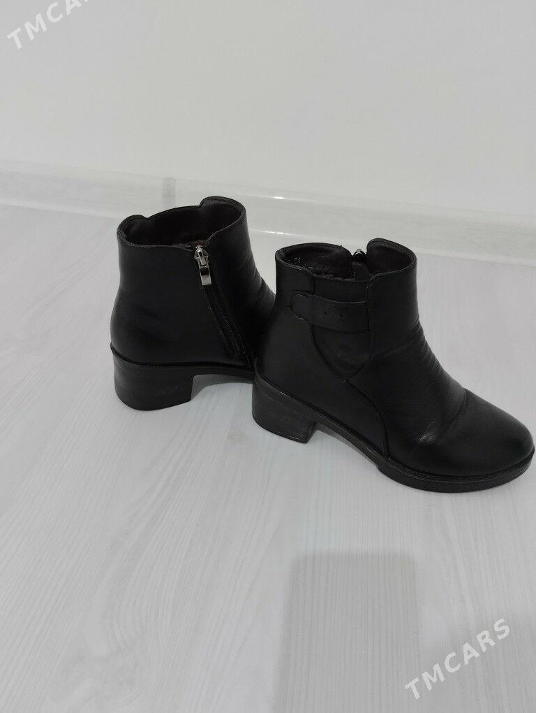 sapok - Gumdag - img 1