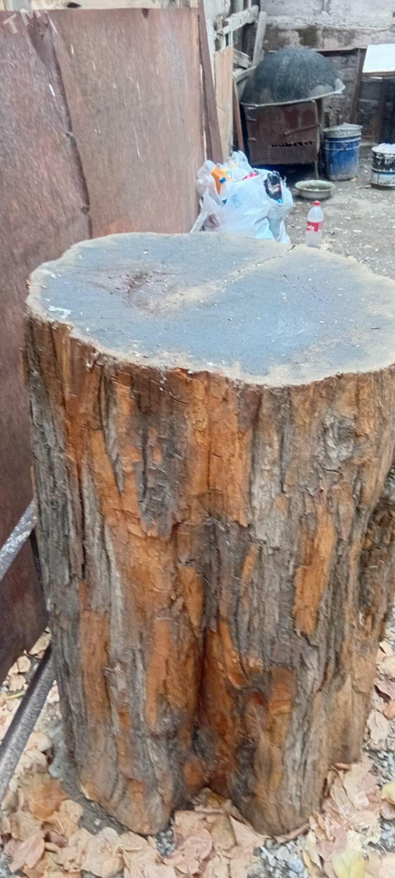 Et çapgy - Büzmeýin - img 1