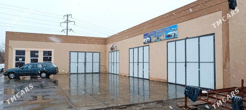 dukan sklat ammar - Mary - img 1