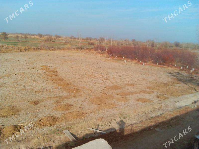 ucastka - Görogly (Tagta) - img 1