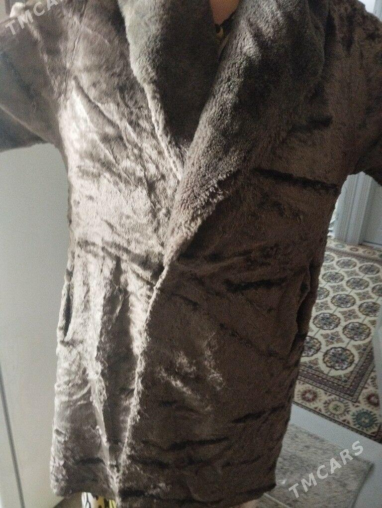 shuba - Balkanabat - img 1