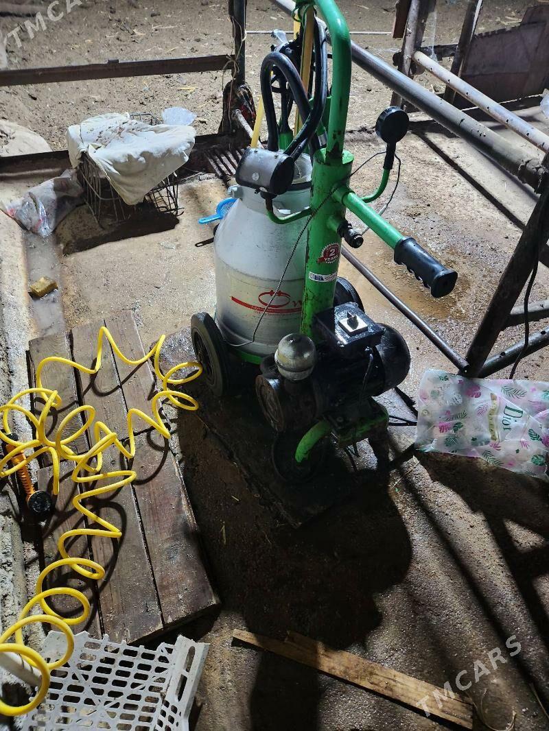 suyt sagyan stanok - Büzmeýin - img 1