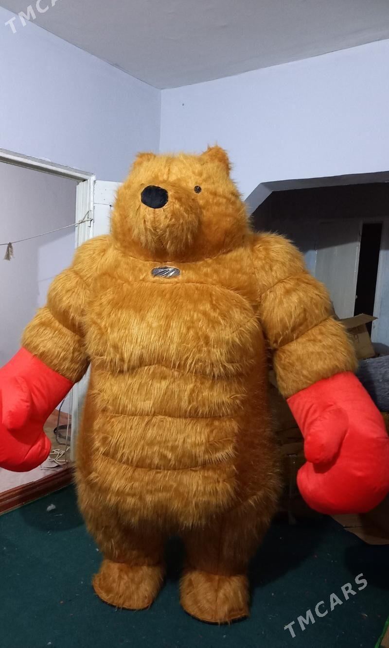 Miska animator - Daşoguz - img 1