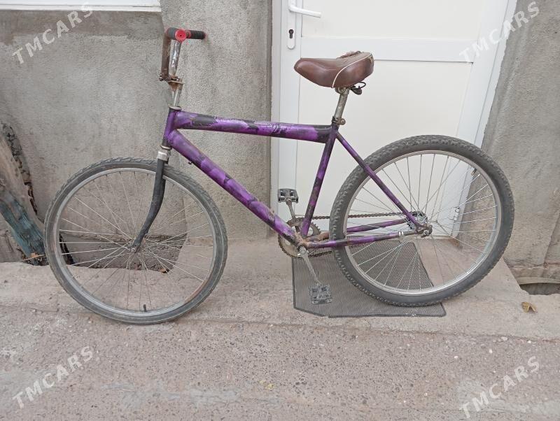 tigir gyssagly uly 26lyk welik - Bedew - img 1