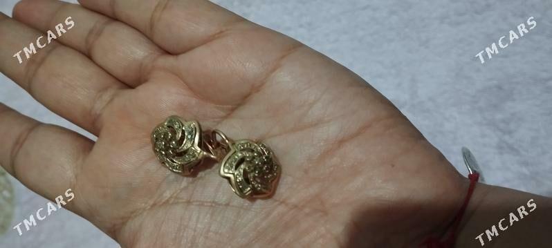 Syrga - Хитровка - img 1