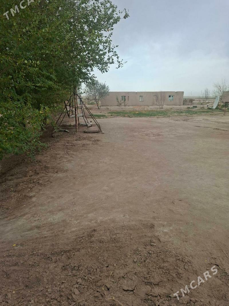 satlyk jay - Ruhubelent etraby - img 1